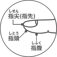 指尖(指先) 指頭 指腹
